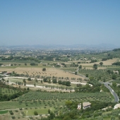Assisi