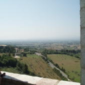 Assisi