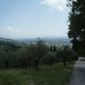 Assisi