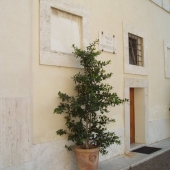 Assisi