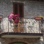 Assisi