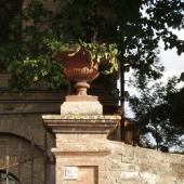 Assisi